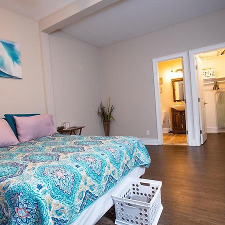 Cozy Studio In The Downtown/Montrose Area Daire Houston Dış mekan fotoğraf